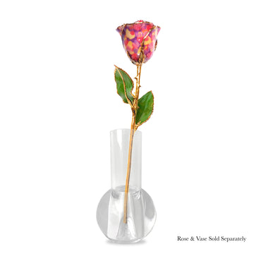 24K Gold Forever Rose - Confetti