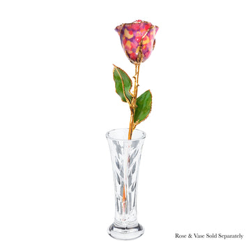 24K Gold Forever Rose - Confetti
