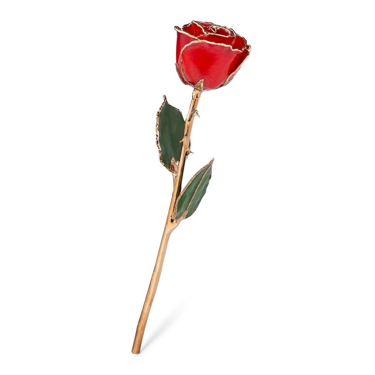 &quot;True Love Never Fades&quot; Personalized 24K Gold Trim Red Forever Rose Combo with Bloom Box &amp; Phantom Vase™ Combo