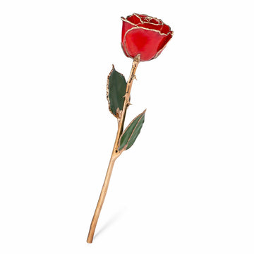 Mom You Are Loved Combo (24K Gold Trim Red)