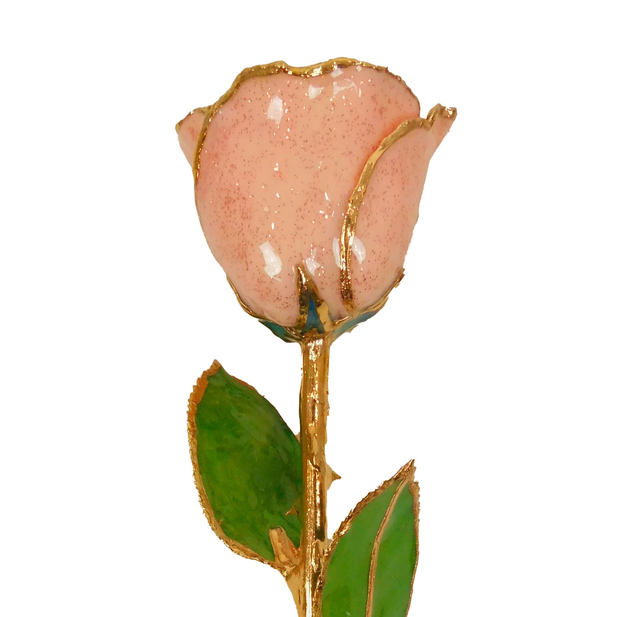 24K Gold Forever Rose - Rosé (Wine Not Included)