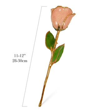 24K Gold Forever Rose - Rosé (Wine Not Included)