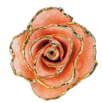 24K Gold Forever Rose - Rosé (Wine Not Included)
