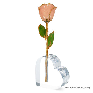 24K Gold Forever Rose - Rosé (Wine Not Included)