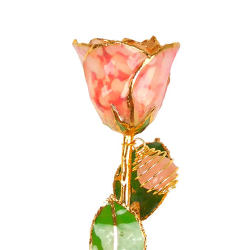 24K Gold Forever Rose - Rose Quartz
