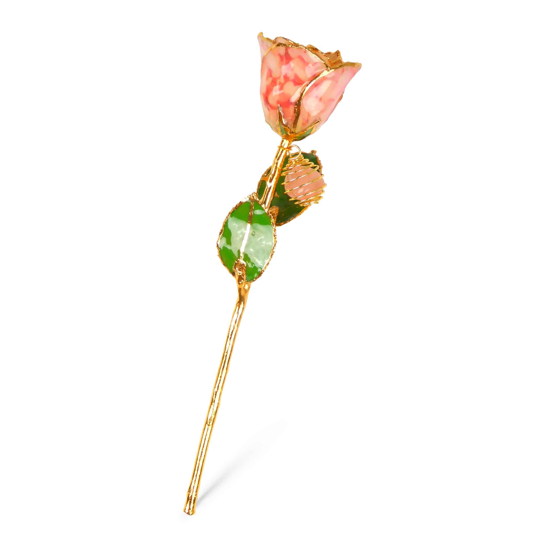 24K Gold Forever Rose - Rose Quartz