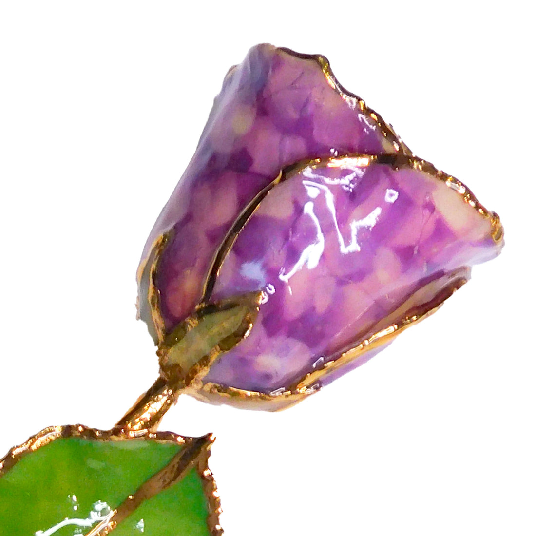 24K Gold Forever Rose - Purple Quartz