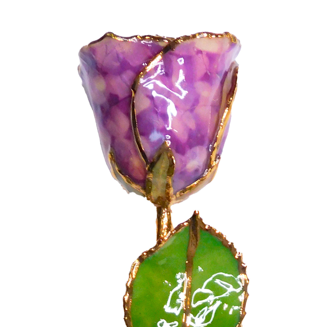 24K Gold Forever Rose - Purple Quartz