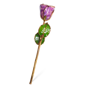 24K Gold Forever Rose - Purple Quartz
