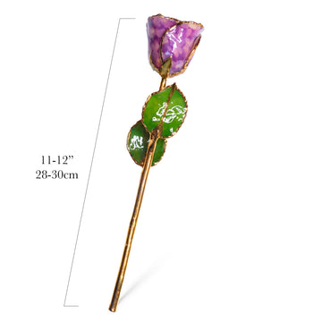 24K Gold Forever Rose - Purple Quartz