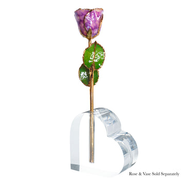 24K Gold Forever Rose - Purple Quartz