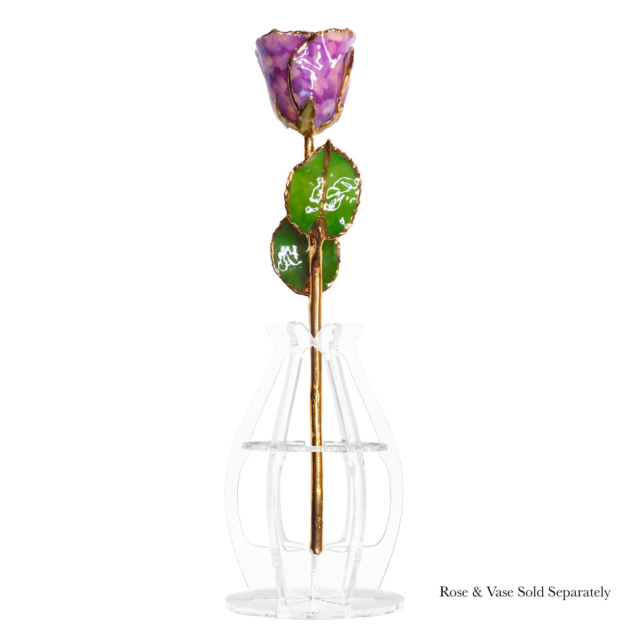 24K Gold Forever Rose - Purple Quartz