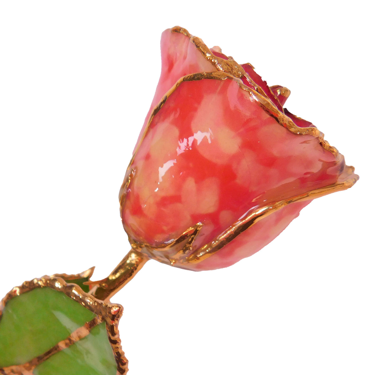 24K Gold Forever Rose - Red Quartz