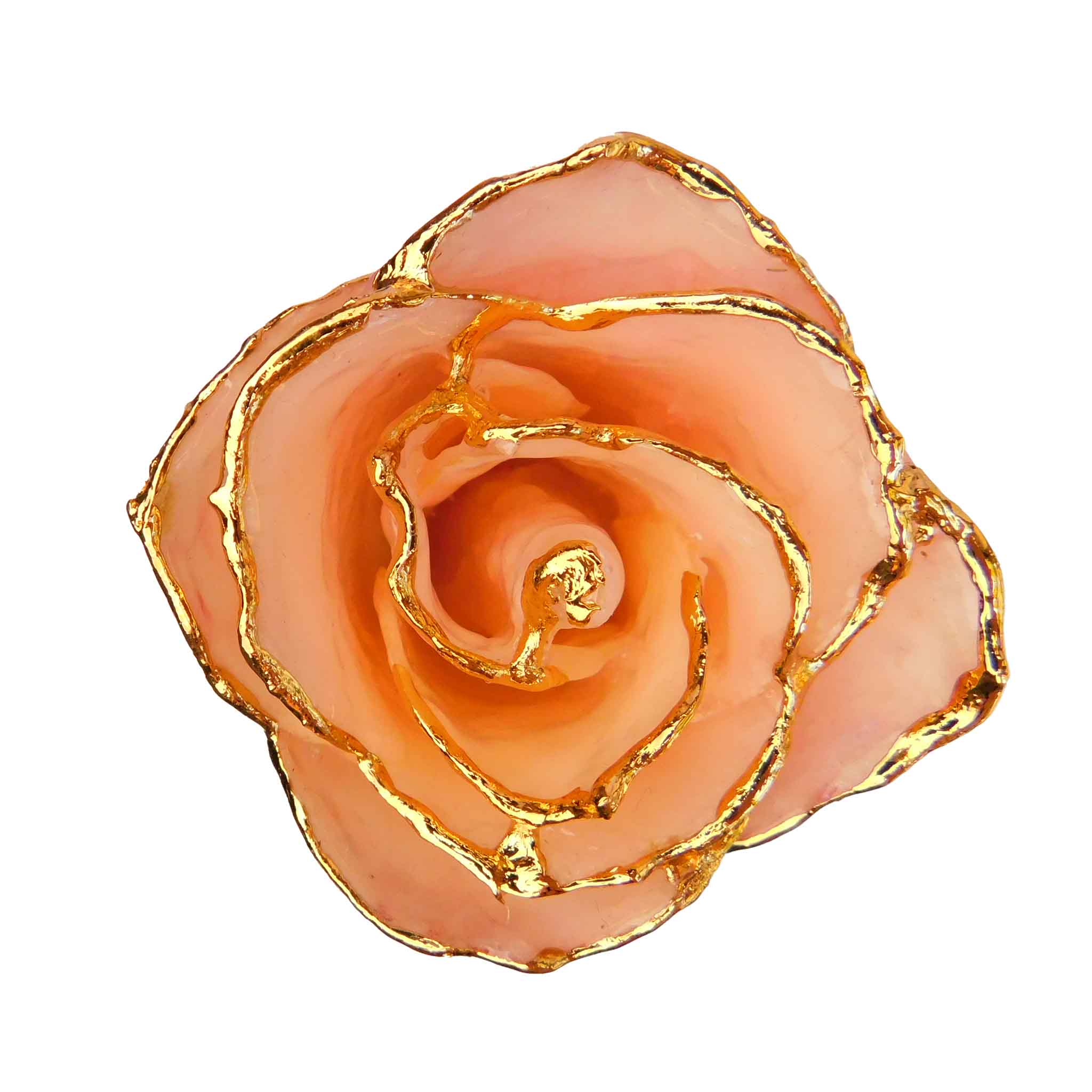 24K Gold Forever Rose - Rose Quartz