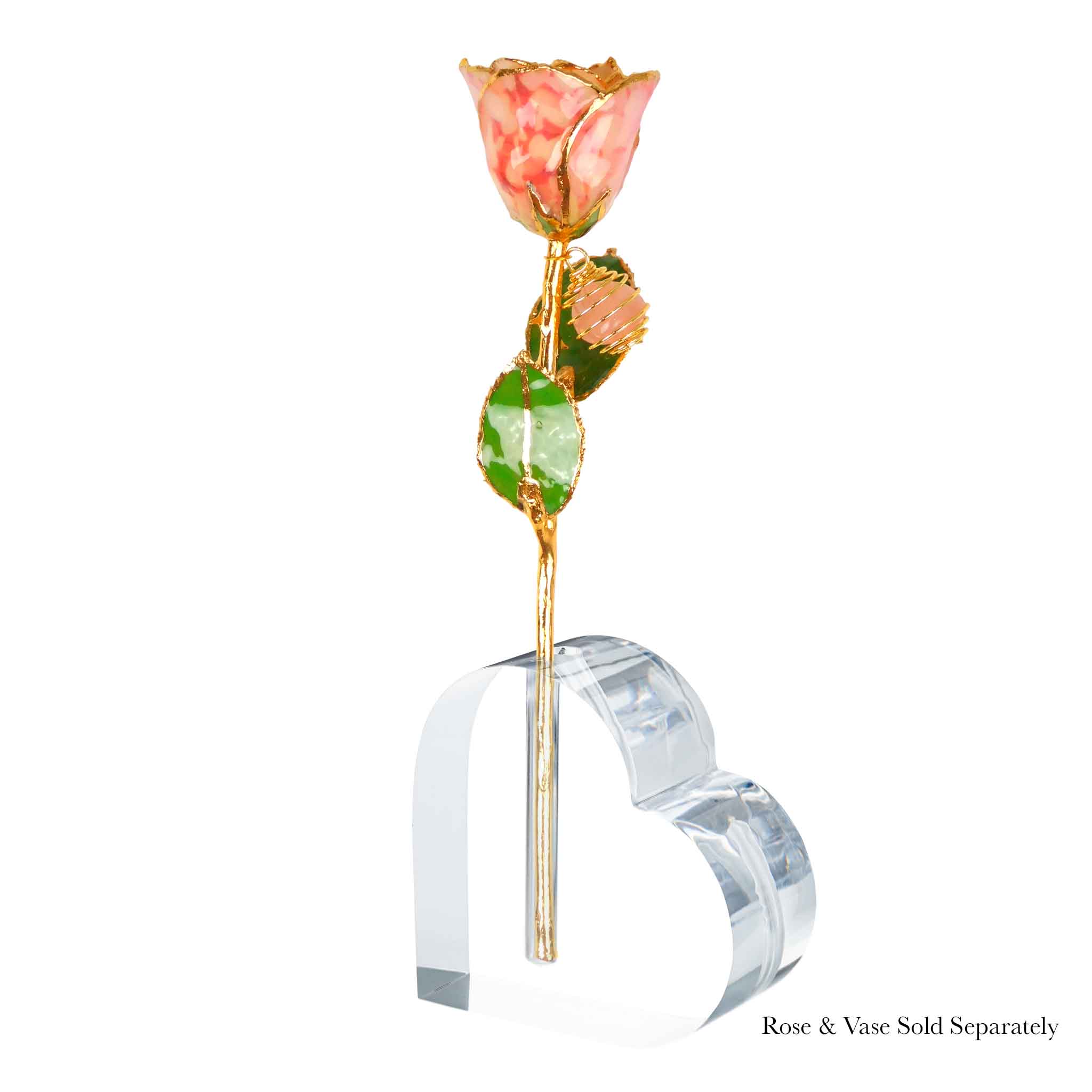 24K Gold Forever Rose - Rose Quartz