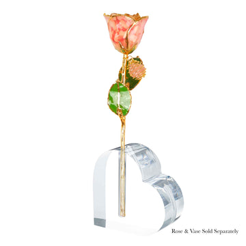 24K Gold Forever Rose - Rose Quartz