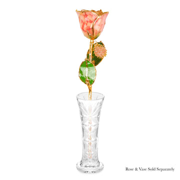 24K Gold Forever Rose - Rose Quartz