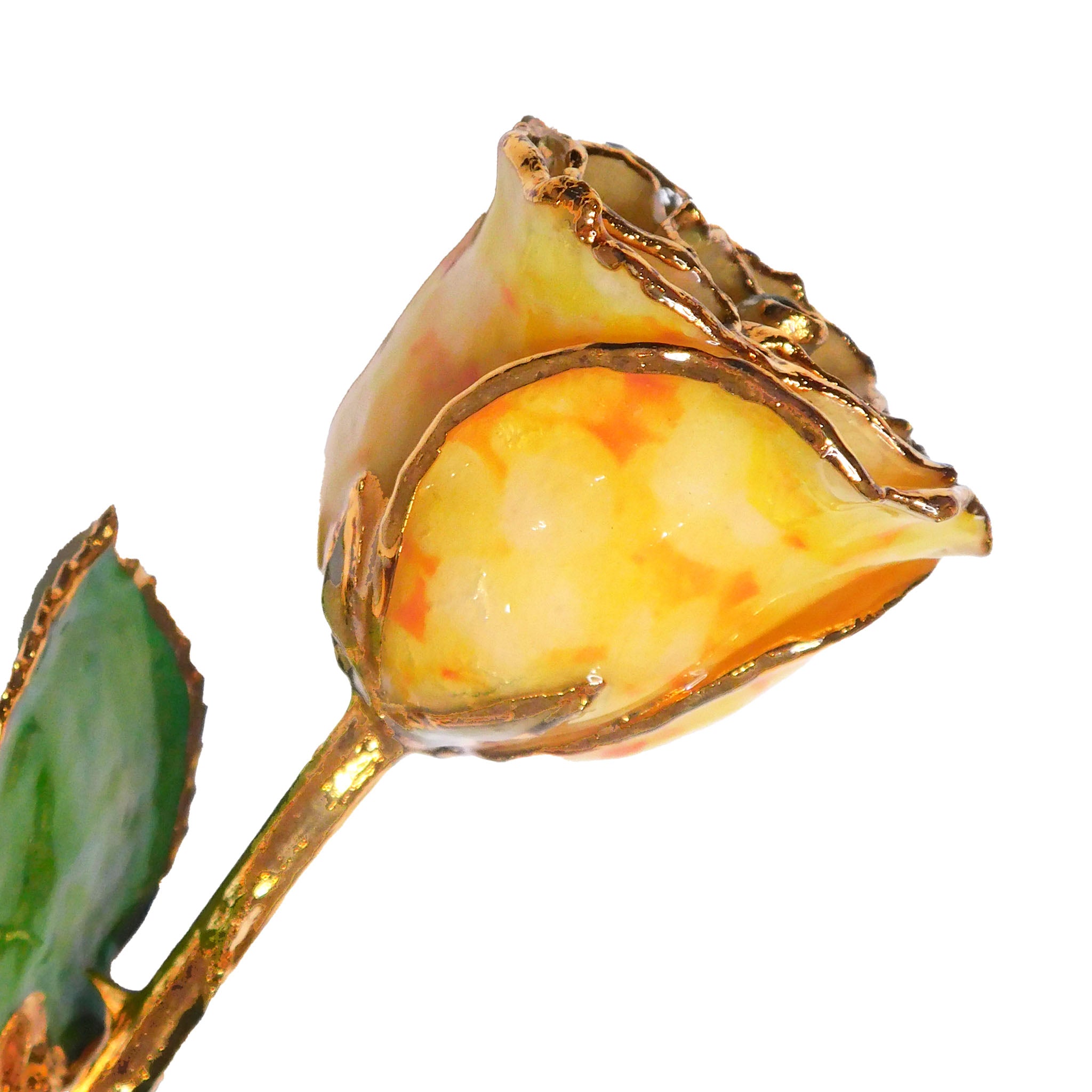 24K Gold Forever Rose - Yellow Quartz