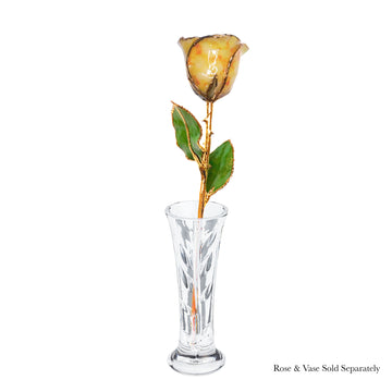 24K Gold Forever Rose - Yellow Quartz