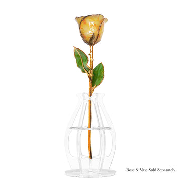 24K Gold Forever Rose - Yellow Quartz
