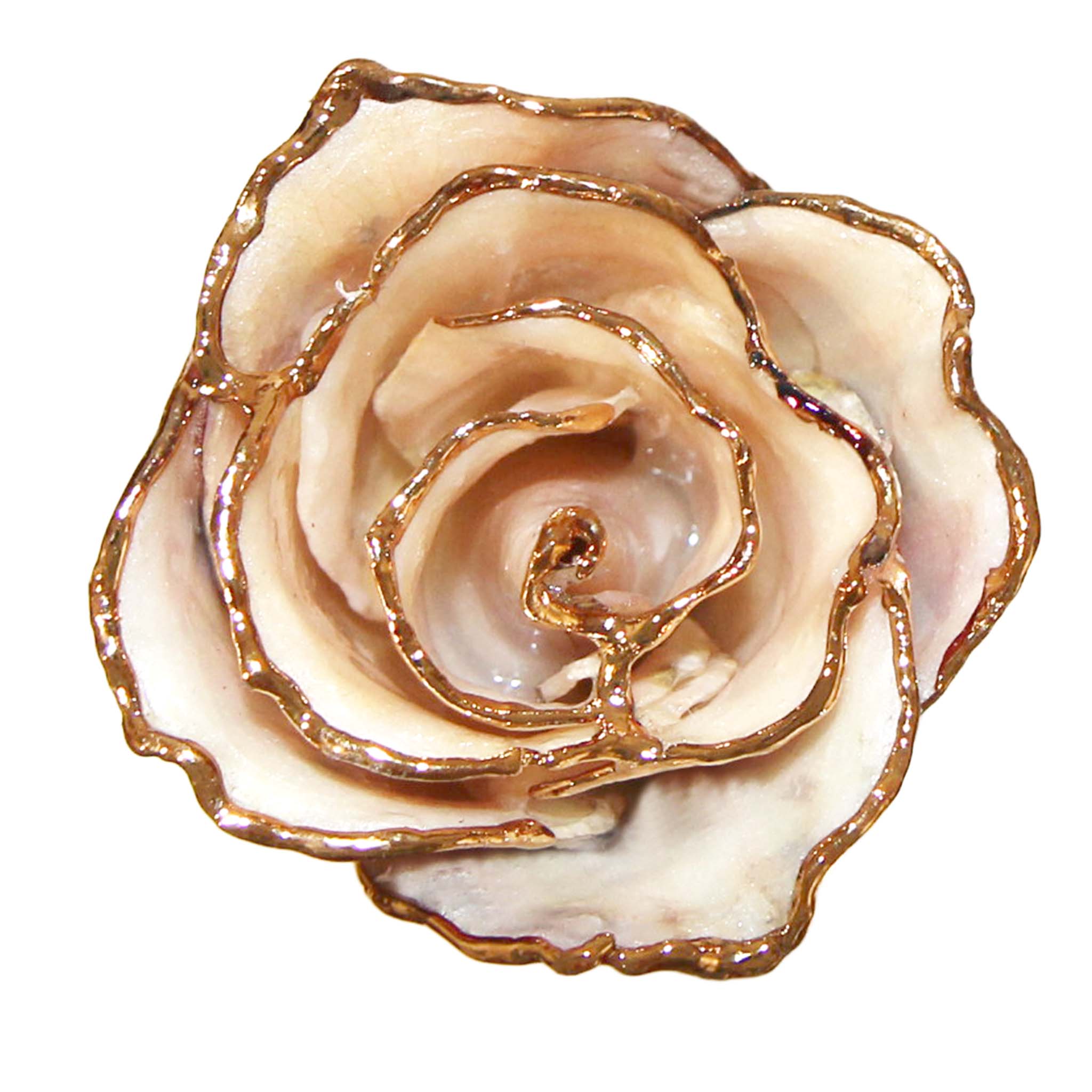 24K Gold Forever Rose - Love & Liberty