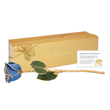 24K Gold Forever Rose - Sapphire Sparkle (September Birthstone)