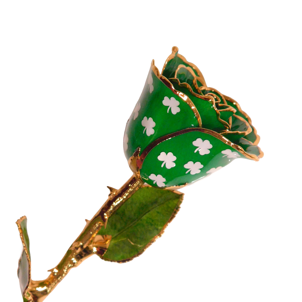 24K Gold Forever Rose - Shamrock