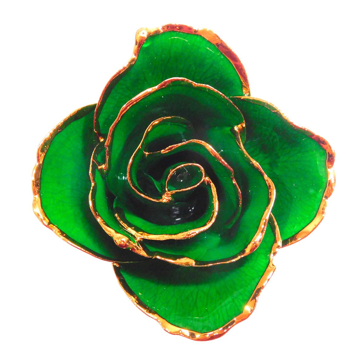 24K Gold Forever Rose - Shamrock