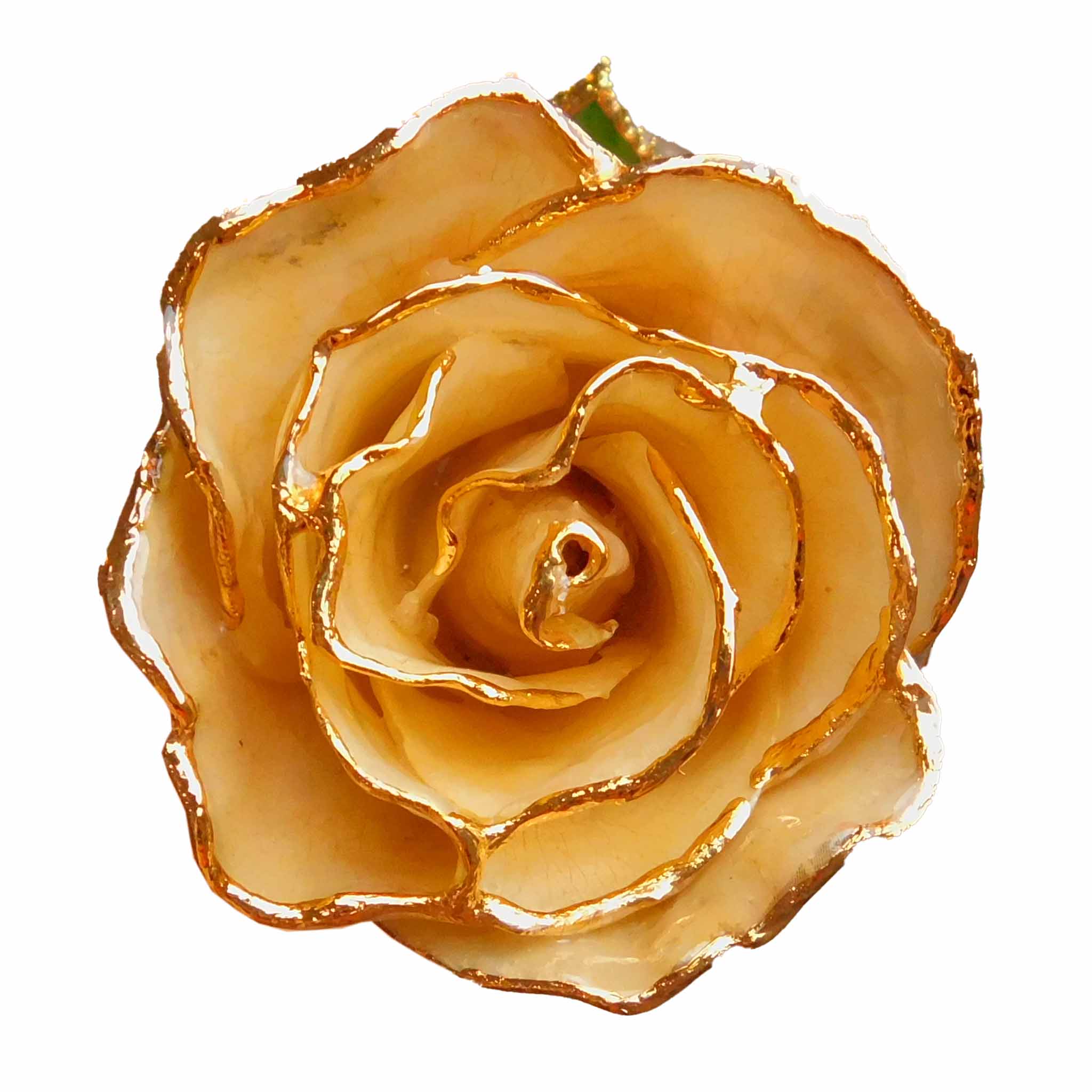 24K Gold Forever Rose - Soldier Green - The Forever Rose