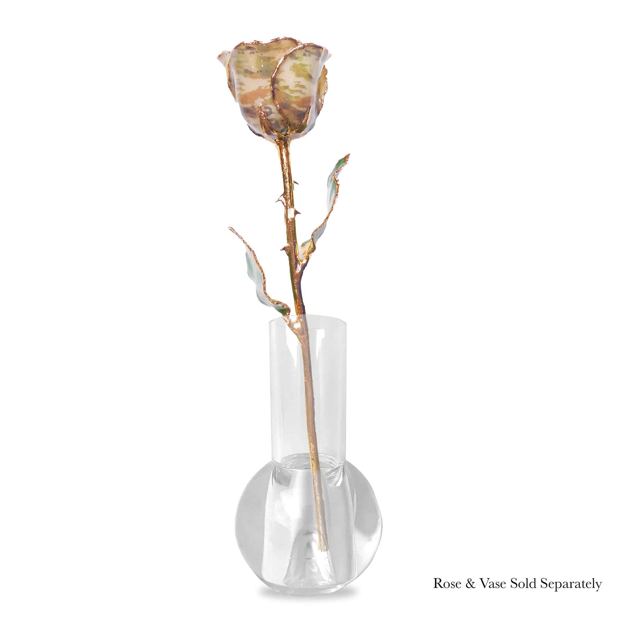 24K Gold Forever Rose - Soldier Green