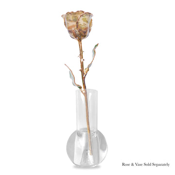 24K Gold Forever Rose - Soldier Green