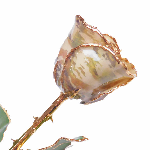 24K Gold Forever Rose - Soldier Green - The Forever Rose