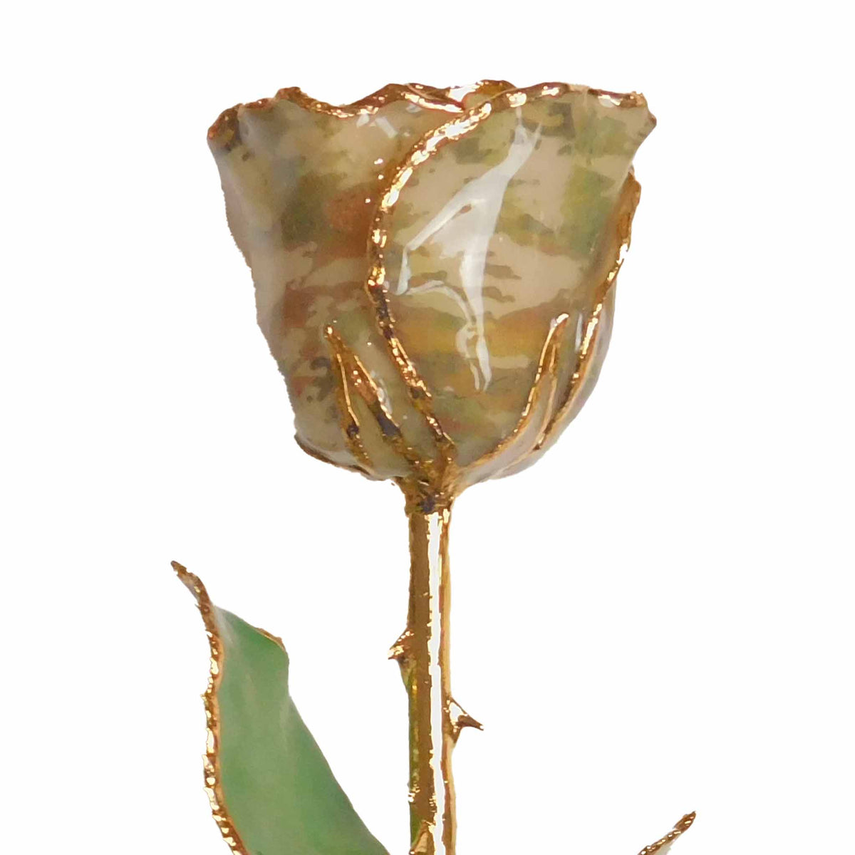 24K Gold Forever Rose - Soldier Green