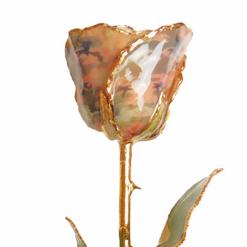 24K Gold Forever Rose - Soldier Pink
