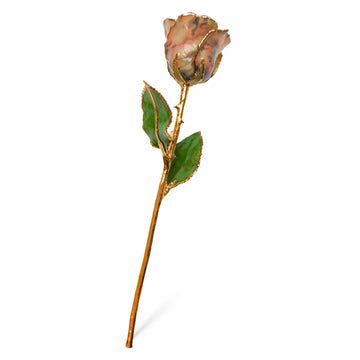 24K Gold Forever Rose - Soldier Pink