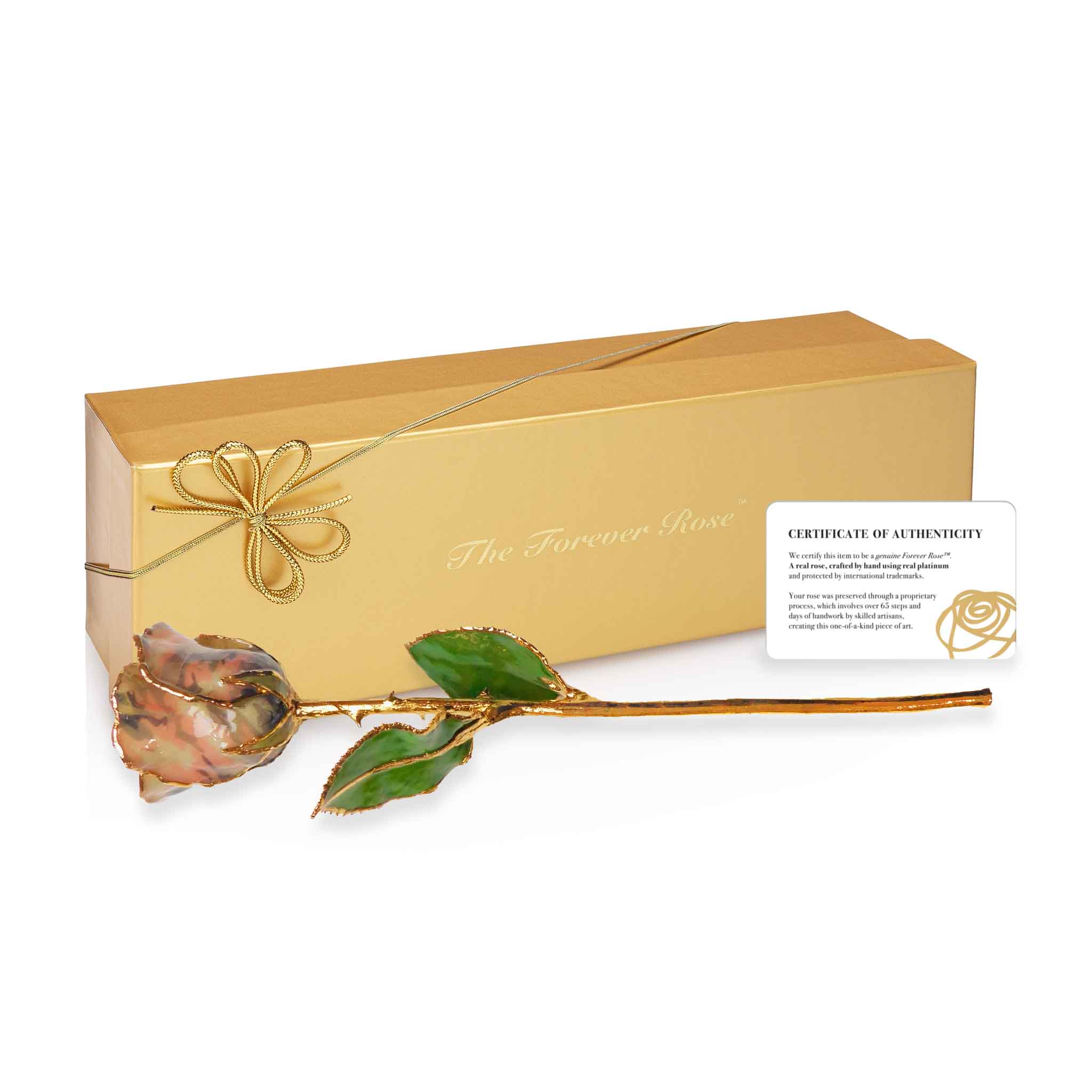 24K Gold Forever Rose - Soldier Pink