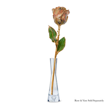 24K Gold Forever Rose - Soldier Pink