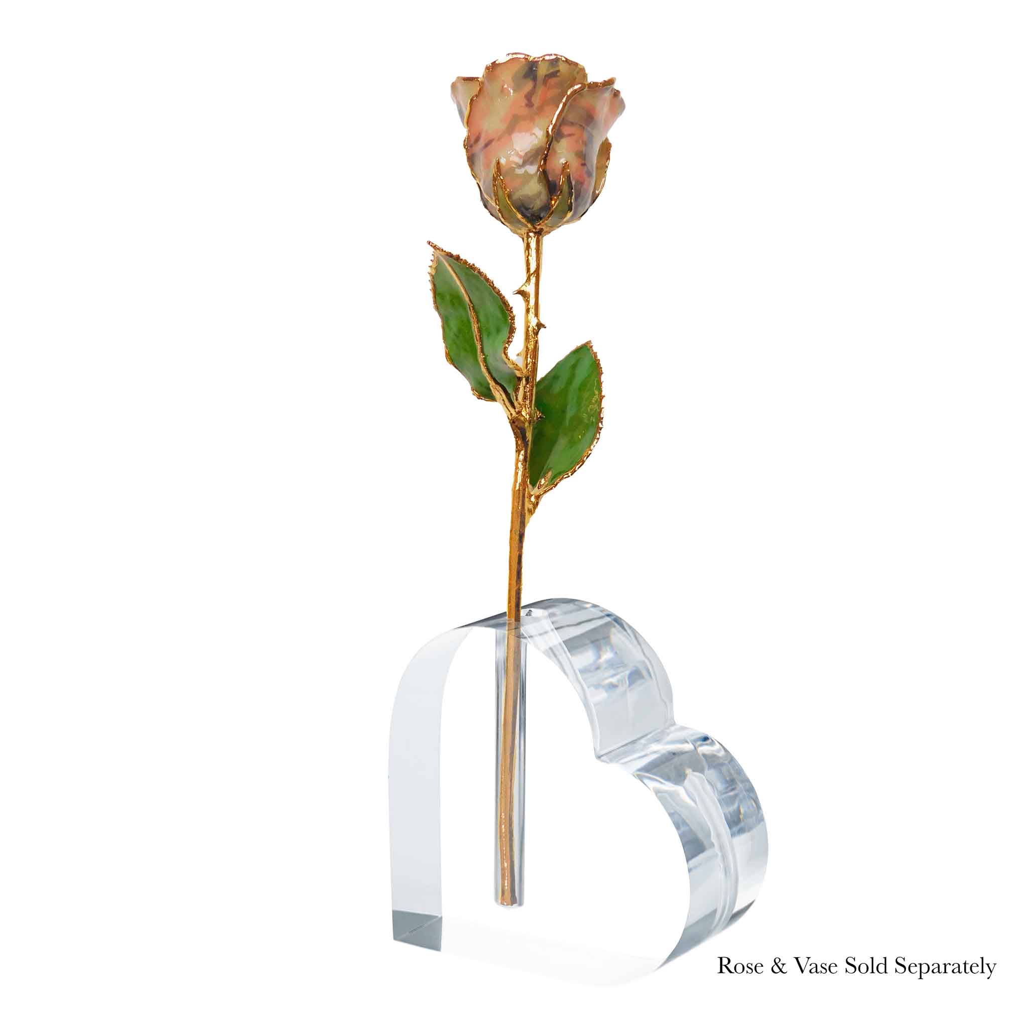 24K Gold Forever Rose - Soldier Pink