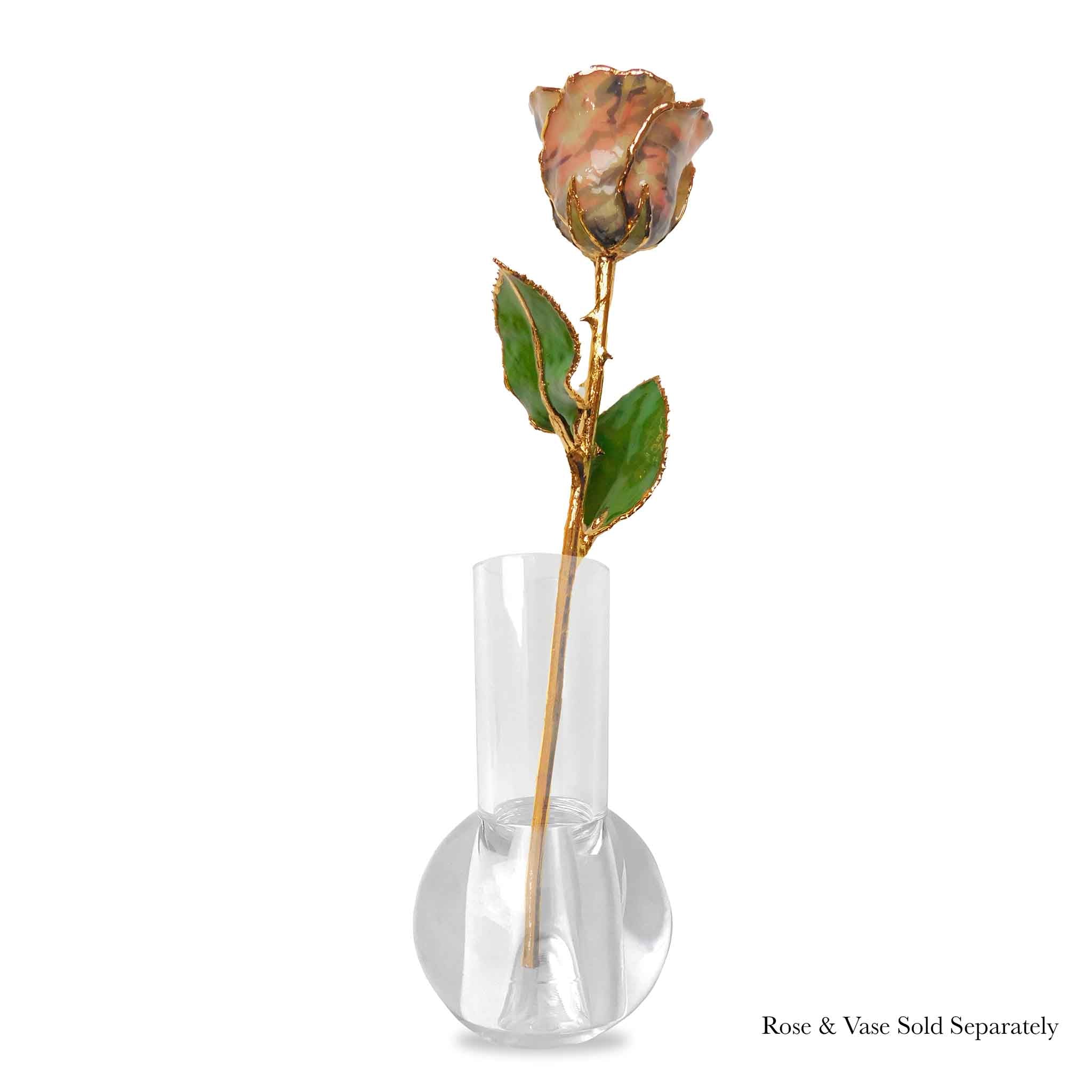 24K Gold Forever Rose - Soldier Pink