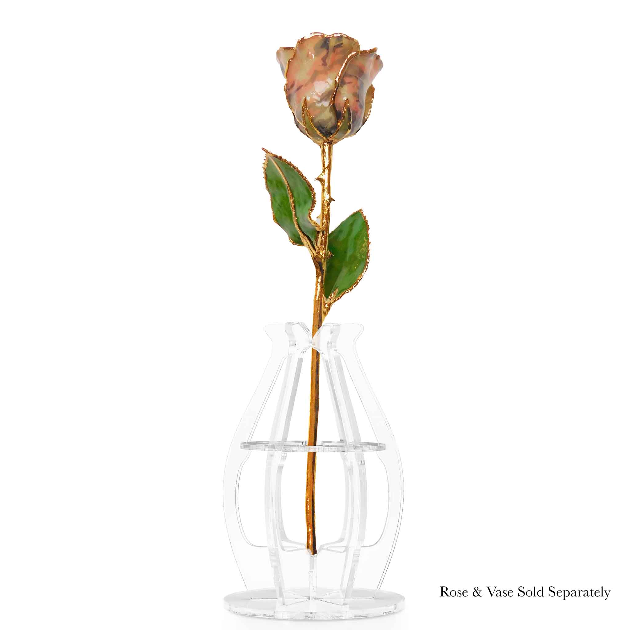 24K Gold Forever Rose - Soldier Pink