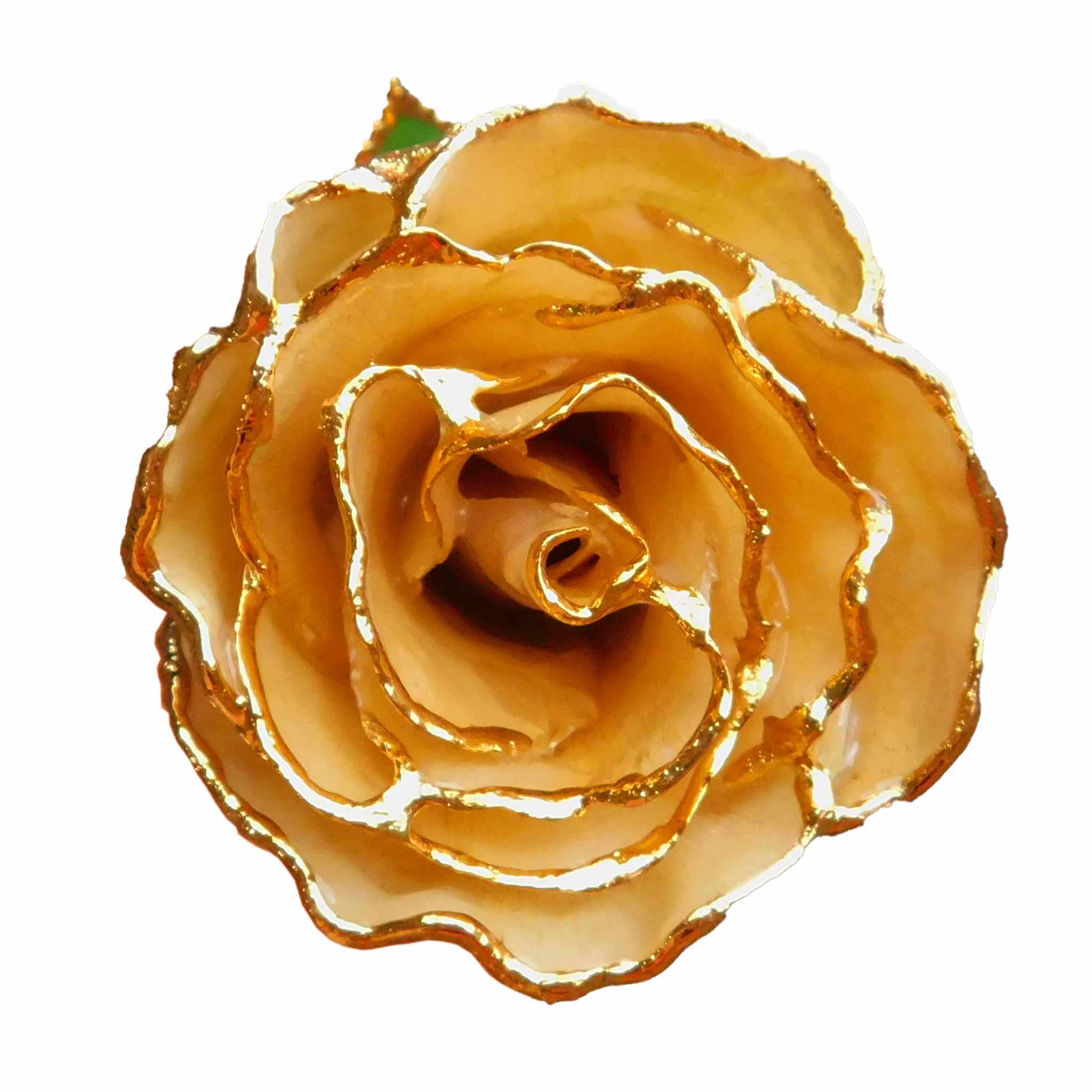 24K Gold Forever Rose - Soldier Pink