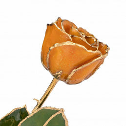 24K Gold Forever Rose - Golden Topaz
