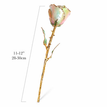 24K Gold Forever Rose - Unicorn