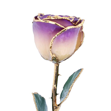24K Gold Forever Rose - White to Amethyst