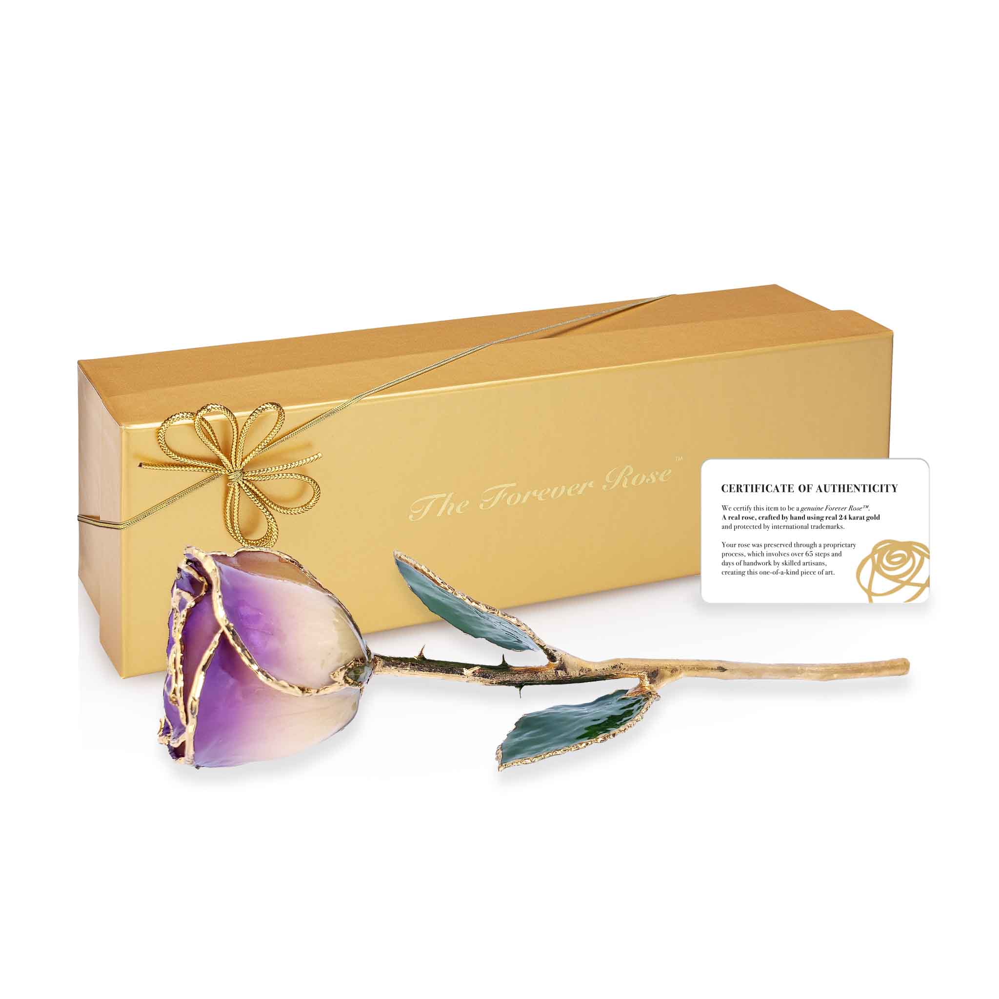 24K Gold Forever Rose - White to Amethyst