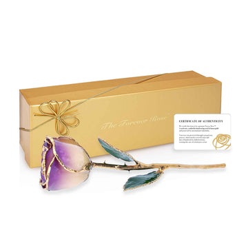 24K Gold Forever Rose - White to Amethyst