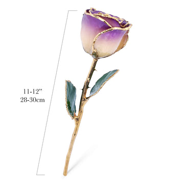 24K Gold Forever Rose - White to Amethyst