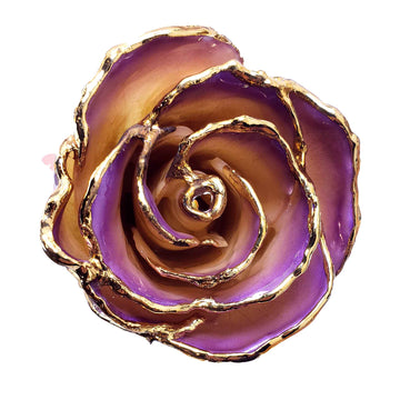 24K Gold Forever Rose - White to Amethyst