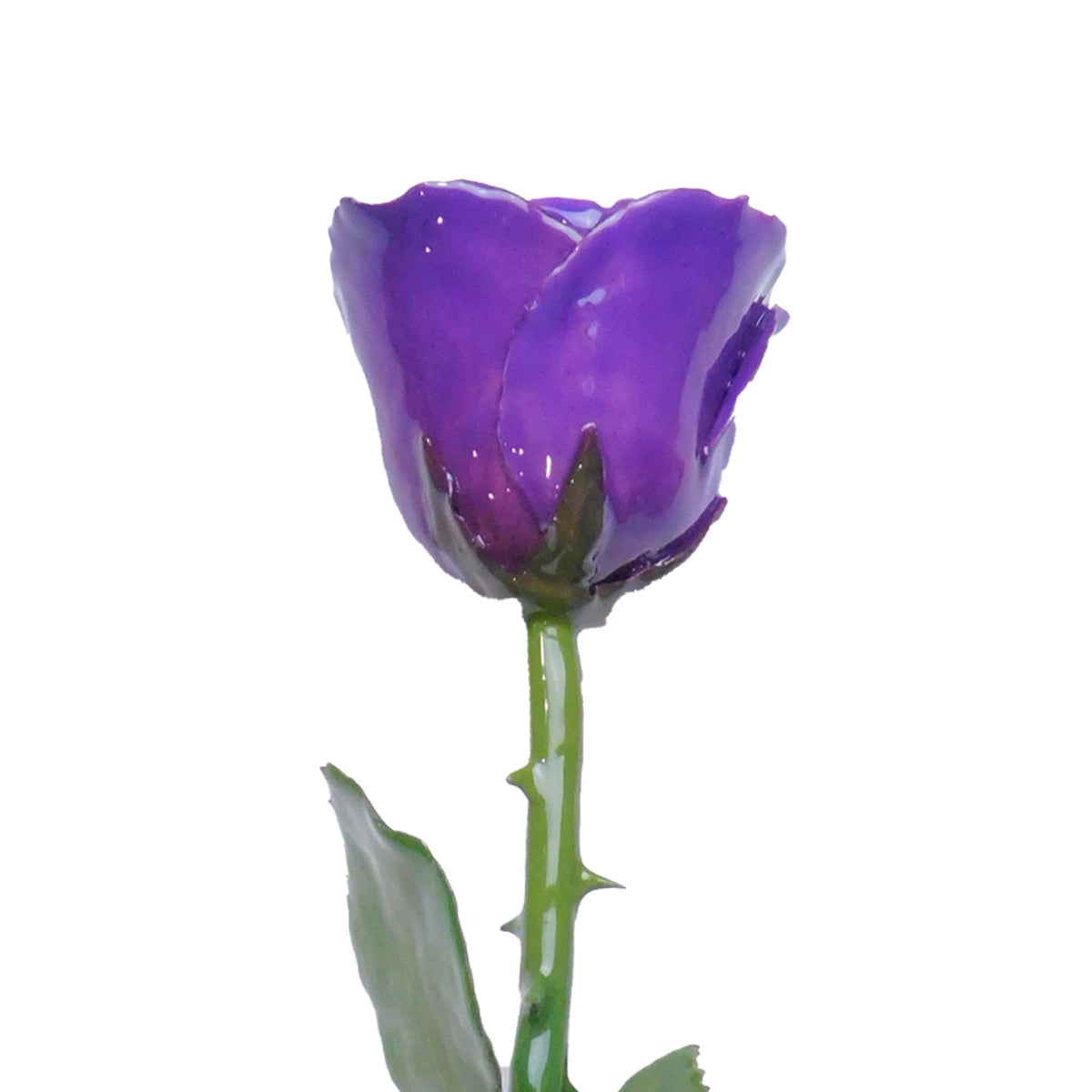 Natural Forever Rose - Purple