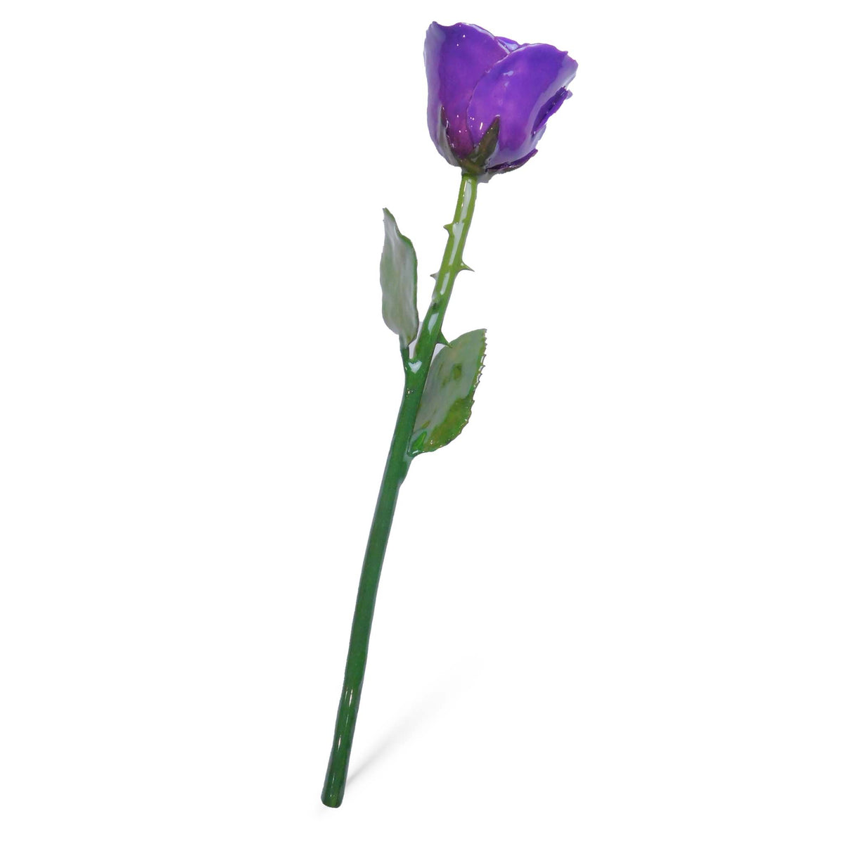 Natural Forever Rose - Purple